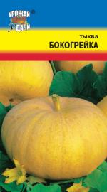 Тыква  БОКОРЕЙКА