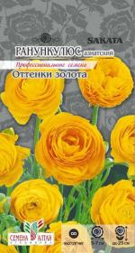 ранункулюс оттенки золота