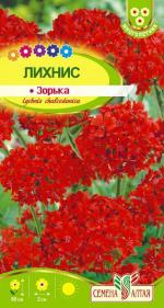 лихнис зорька