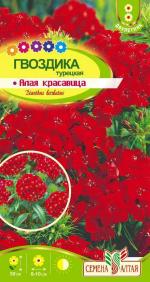 гвоздика турецкая алая красавица