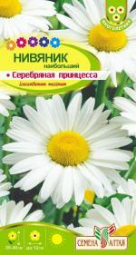 нивяник серебрянная принцесса