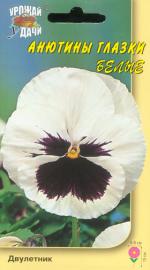 виола белая
