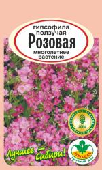 Гипсофила  ползучая Розовая