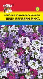 Вербена  ЛЕДИ ВЕРВЕЙН МИКС