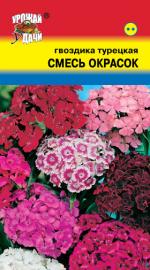 Гвоздика   турецкая   СМЕСЬ ОКРАСОК
