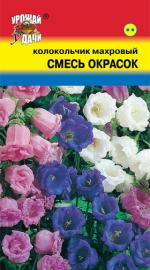 Колокольчик   махровый   МАХРОВЫЙ СМЕСЬ