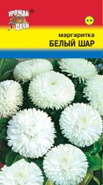 Маргаритка   БЕЛЫЙ ШАР   махровая