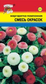 Маргаритка   помпонная   СМЕСЬ ОКРАСОК