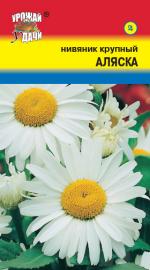 Нивяник   крупный   АЛЯСКА