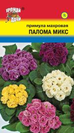 Примула  ПАЛОМА МИКС  махровая  