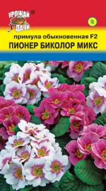 Примула   ПИОНЕР БИКОЛОР МИКС