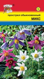 Прострел   обыкновенный   МИКС