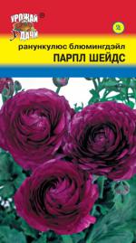Ранункулюс  махровый  ПАРПЛ  ШЕЙДЕС  БЛУМИНГДЭЙЛ 