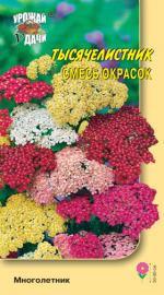 Тысячелистник   СМЕСЬ ОКРАСОК