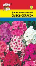 Флокс   метельчатый   СМЕСЬ