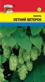 Хмель   ЛЕТНИЙ ВЕТЕРОК