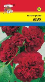 Шток-роза   АЛАЯ