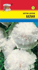 Шток-роза   БЕЛАЯ