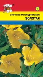 Энотера   миссурийская   ЗОЛОТАЯ