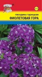 Гвоздика   турецкая   ФИОЛЕТОВАЯ ГОРА