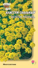 АЛИССУМ  ЗОЛОТАЯ  РОССЫПЬ