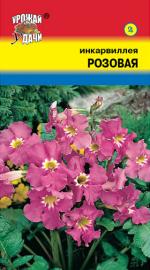 инкарвиллея розовая