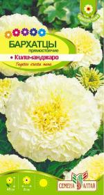бархатцы килиманджаро