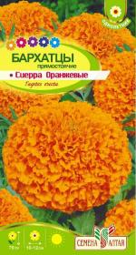 бархатцы сиерра оранжевые
