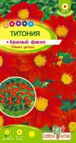 титония красный факел
