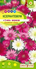 ксерантемум смесь