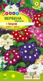 вербена гибридная триумф
