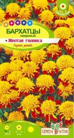бархатцы желтая головка