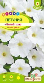 петуния белый шар