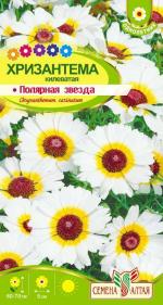 хризантема полярная звезда