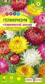 гелехризум королевский размер
