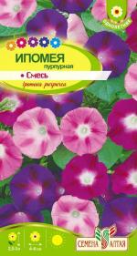 ипомея пурпурная смесь