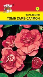 бальзамин томб самб салмон