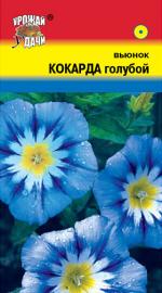 ВЬЮНОК КОКАРДА ГОЛУБОЙ