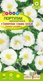 портулак солнечная страна белый