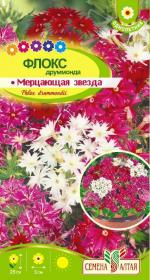 флокс мерцающая звезда