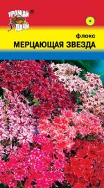 флокс мерцающая звезда