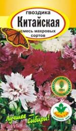 Гвоздика Китайская смесь окрасок