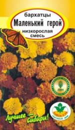Бархатцы  Маленький герой