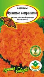 Бархатцы Оранжевое совершенство