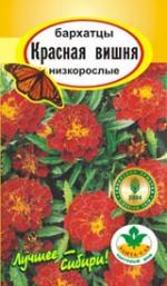 Бархатцы Красная Вишня