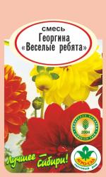 Георгина  Веселые ребята