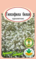 Гипсофила белая