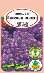 Алиссум  Фиолетовая королева
