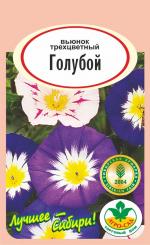 Вьюнок  ТРЕХЦВЕТНЫЙ ГОЛУБОЙ