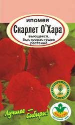 Ипомея  Скарлет О'Хара